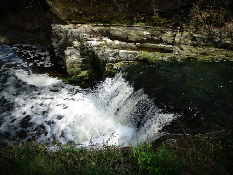 DSC01703
