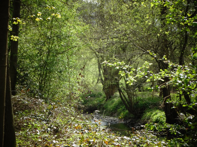 DSC01708