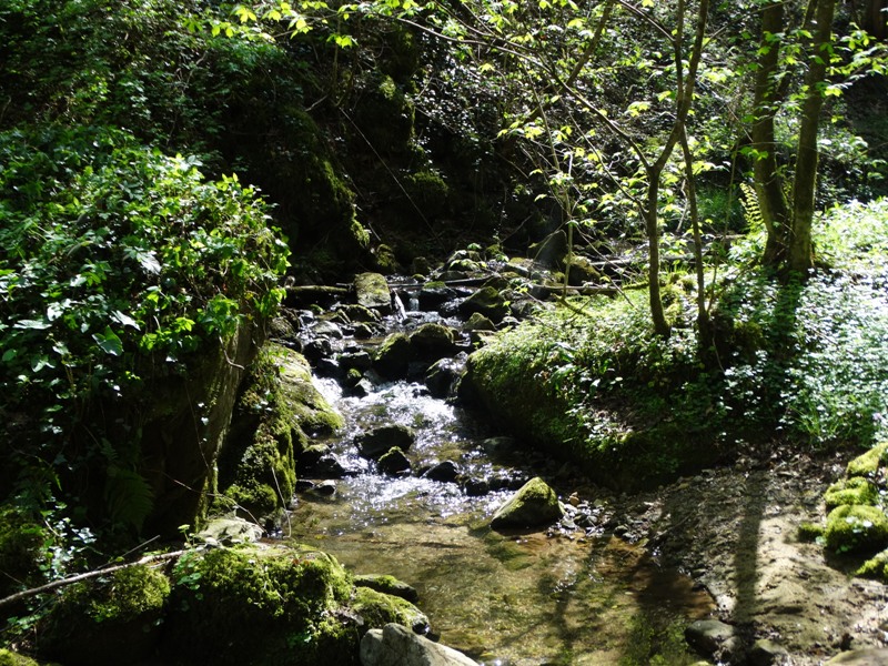 DSC01759