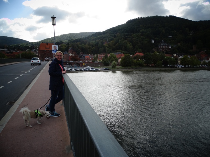 Miltenberg Mainbrücke 